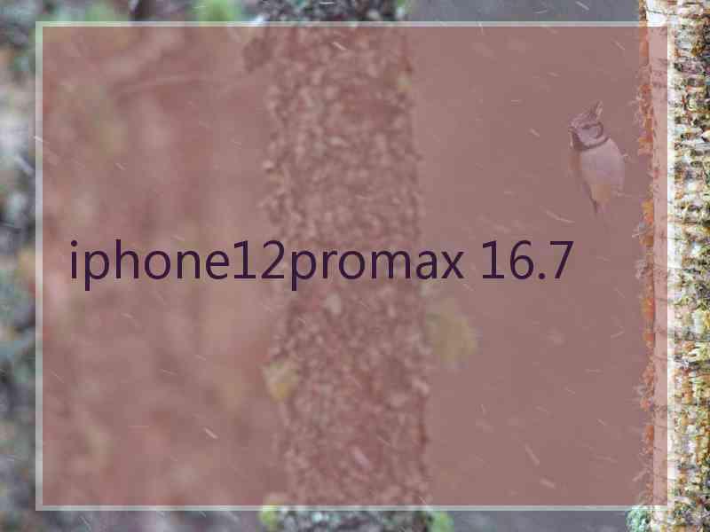 iphone12promax 16.7