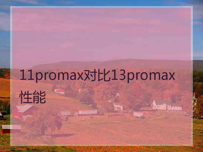 11promax对比13promax性能