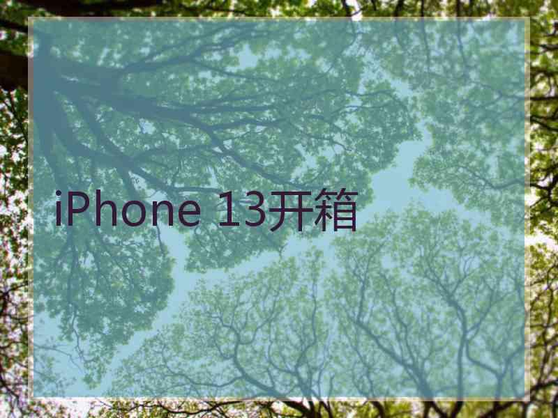 iPhone 13开箱