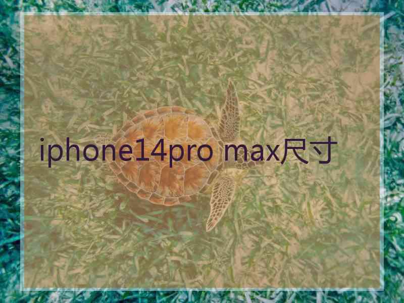 iphone14pro max尺寸