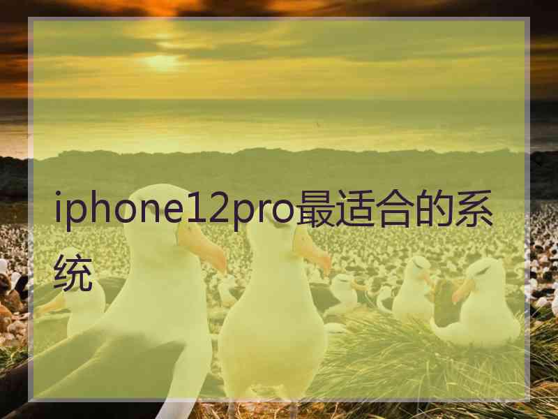 iphone12pro最适合的系统