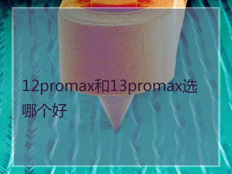 12promax和13promax选哪个好