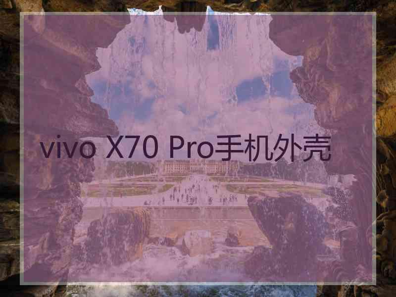 vivo X70 Pro手机外壳