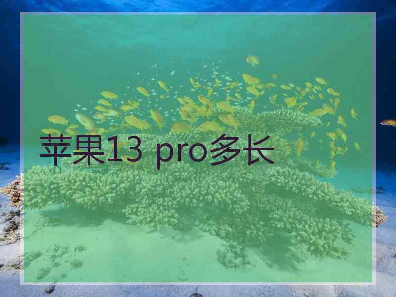 苹果13 pro多长