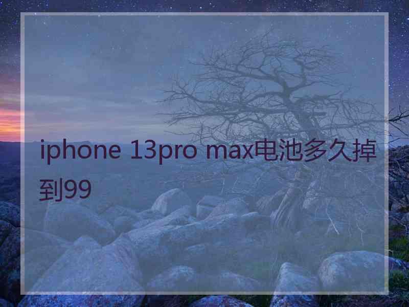 iphone 13pro max电池多久掉到99