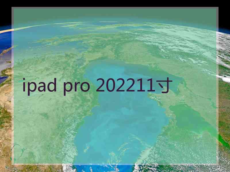 ipad pro 202211寸