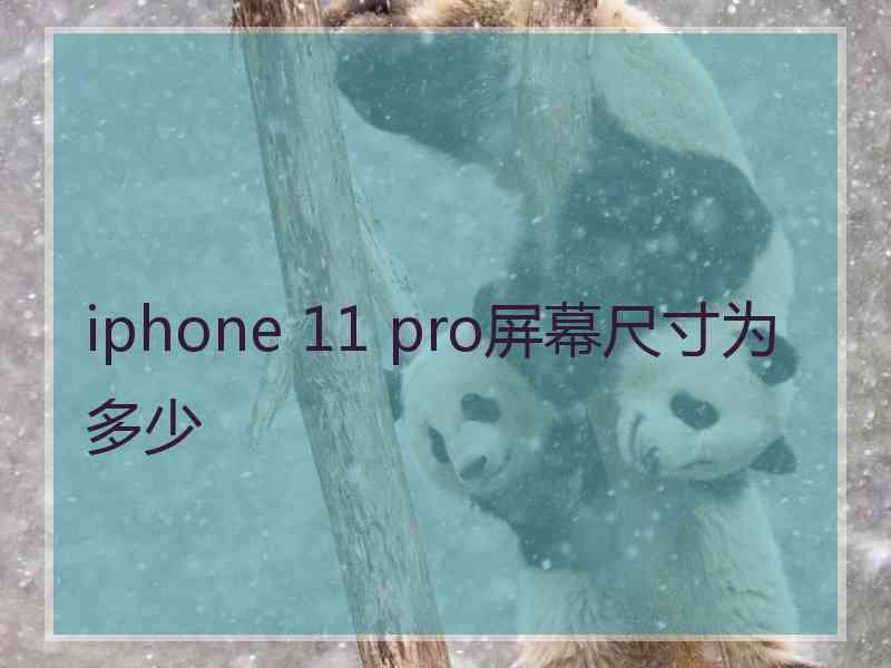 iphone 11 pro屏幕尺寸为多少