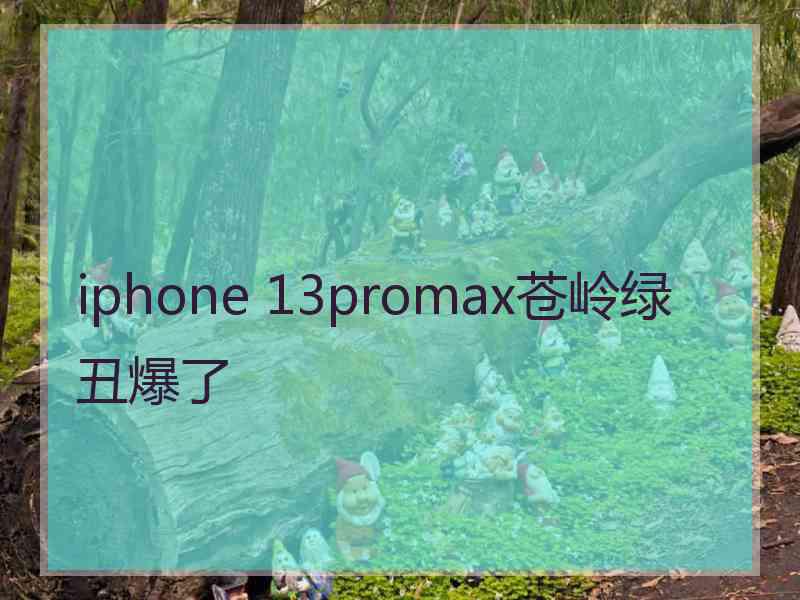 iphone 13promax苍岭绿丑爆了