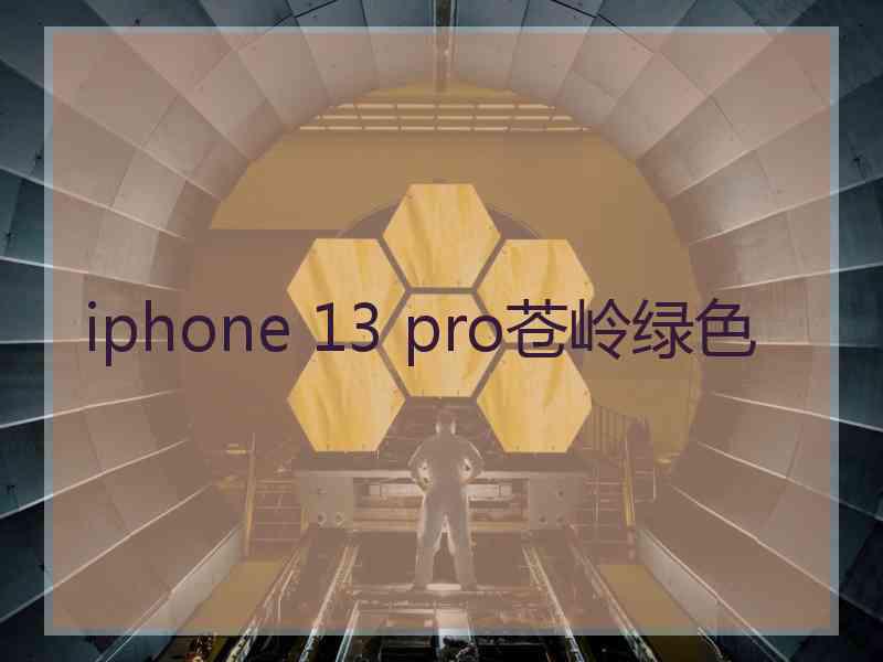 iphone 13 pro苍岭绿色