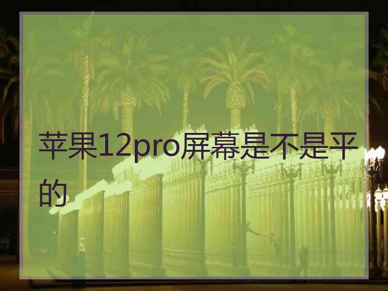 苹果12pro屏幕是不是平的