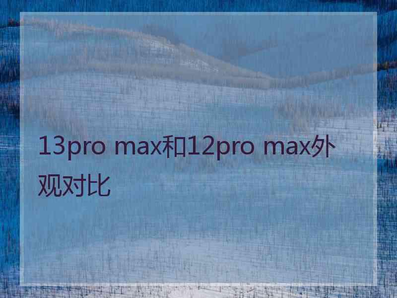 13pro max和12pro max外观对比