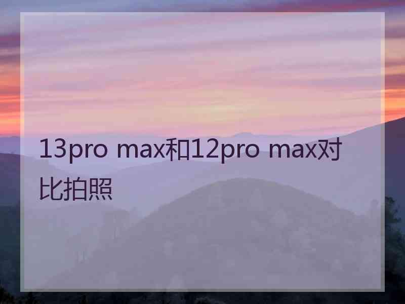 13pro max和12pro max对比拍照