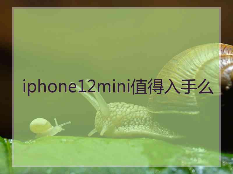 iphone12mini值得入手么