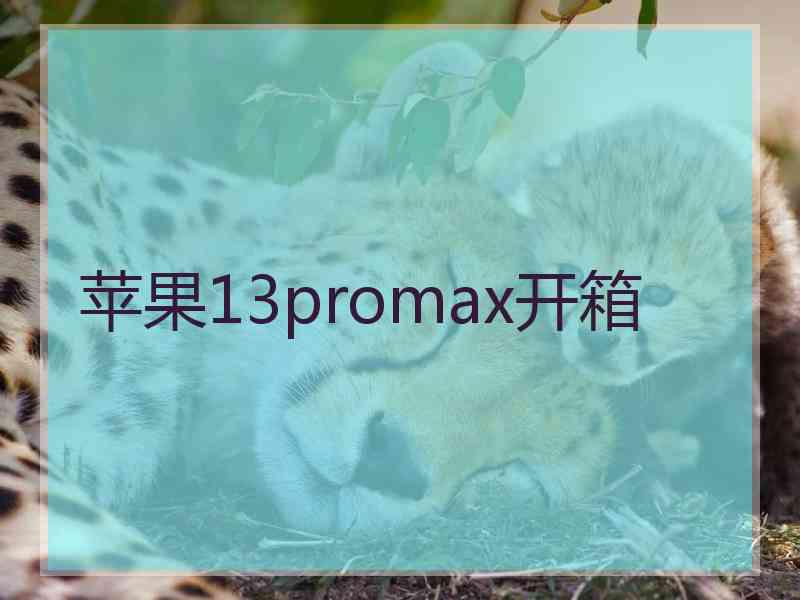 苹果13promax开箱