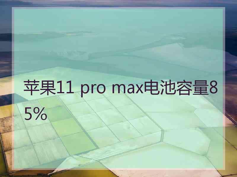 苹果11 pro max电池容量85%