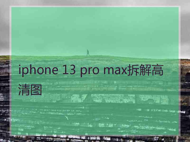 iphone 13 pro max拆解高清图