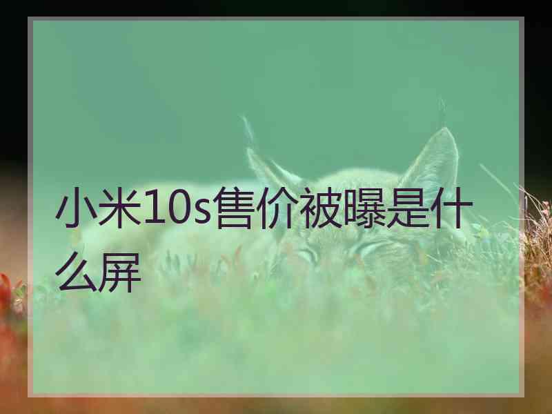 小米10s售价被曝是什么屏