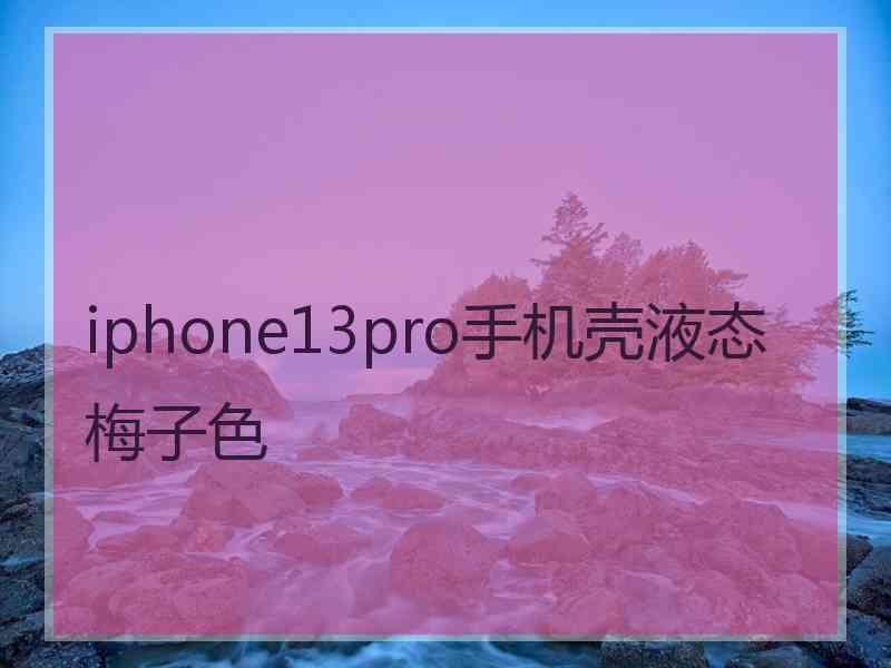 iphone13pro手机壳液态梅子色