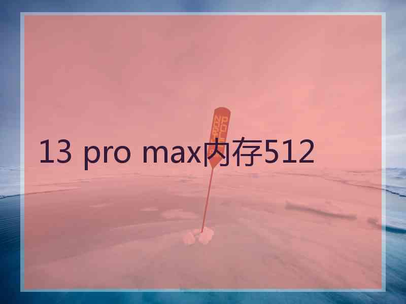 13 pro max内存512