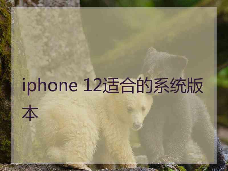 iphone 12适合的系统版本