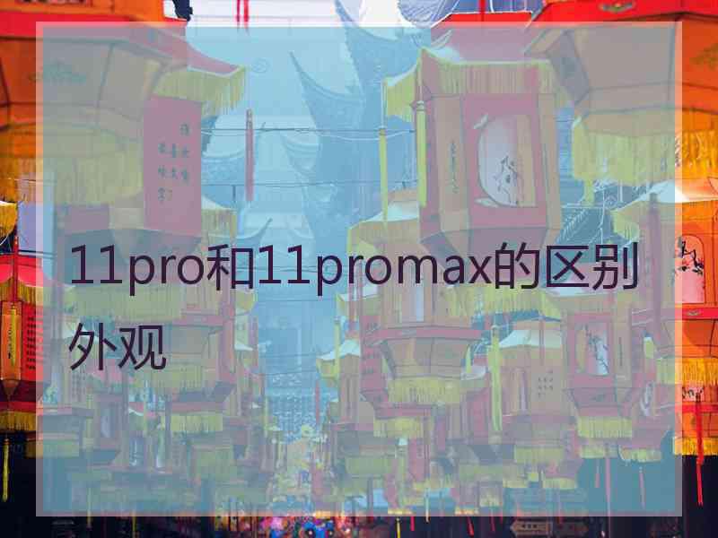 11pro和11promax的区别外观