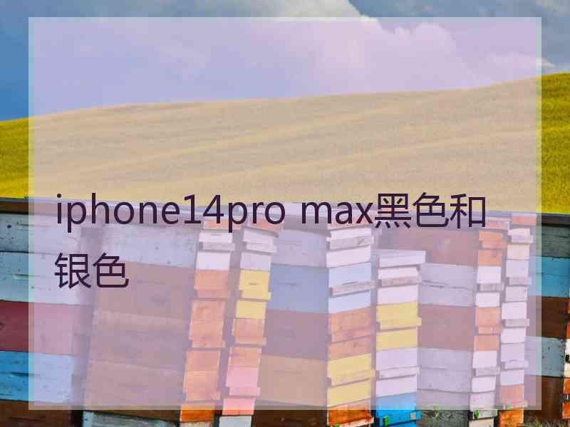 iphone14pro max黑色和银色