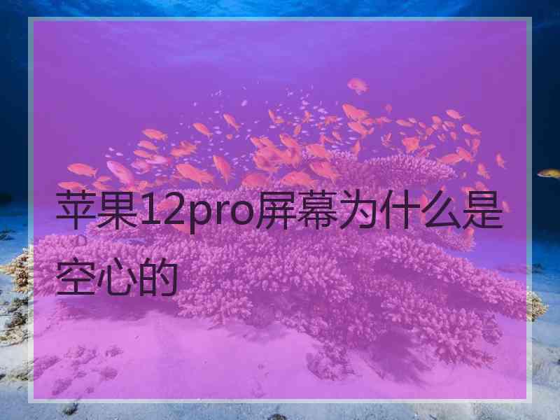 苹果12pro屏幕为什么是空心的