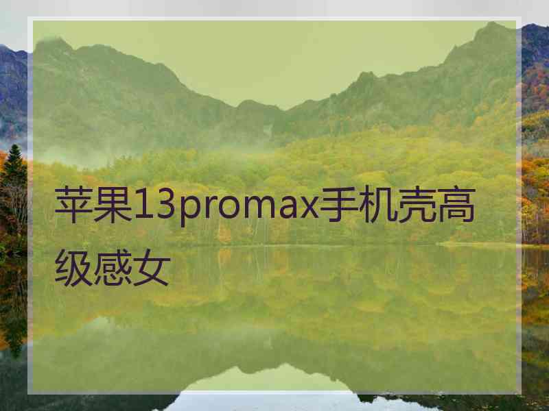 苹果13promax手机壳高级感女