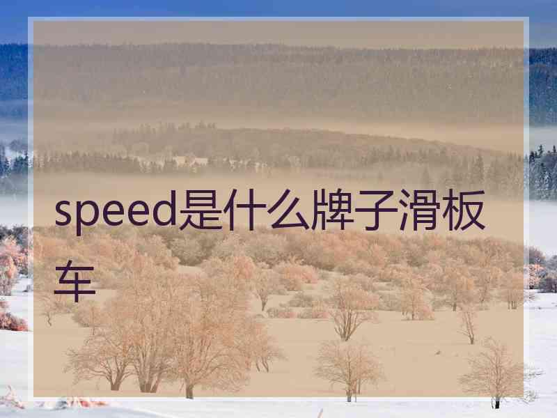 speed是什么牌子滑板车