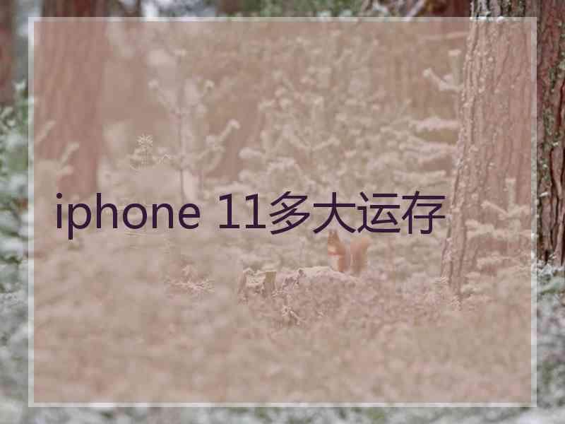 iphone 11多大运存