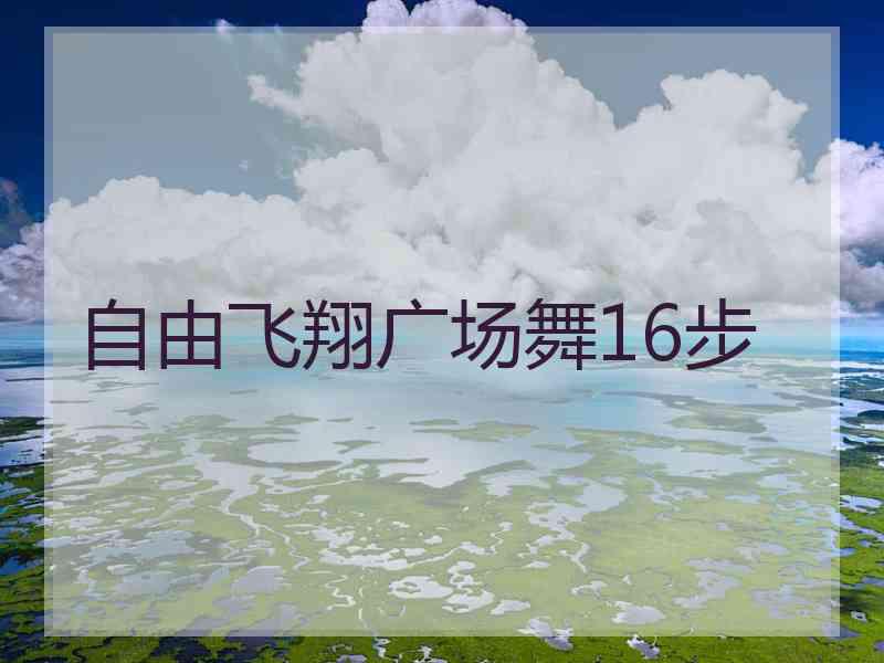 自由飞翔广场舞16步