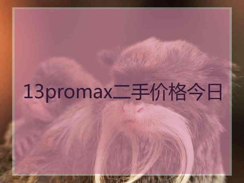 13promax二手价格今日