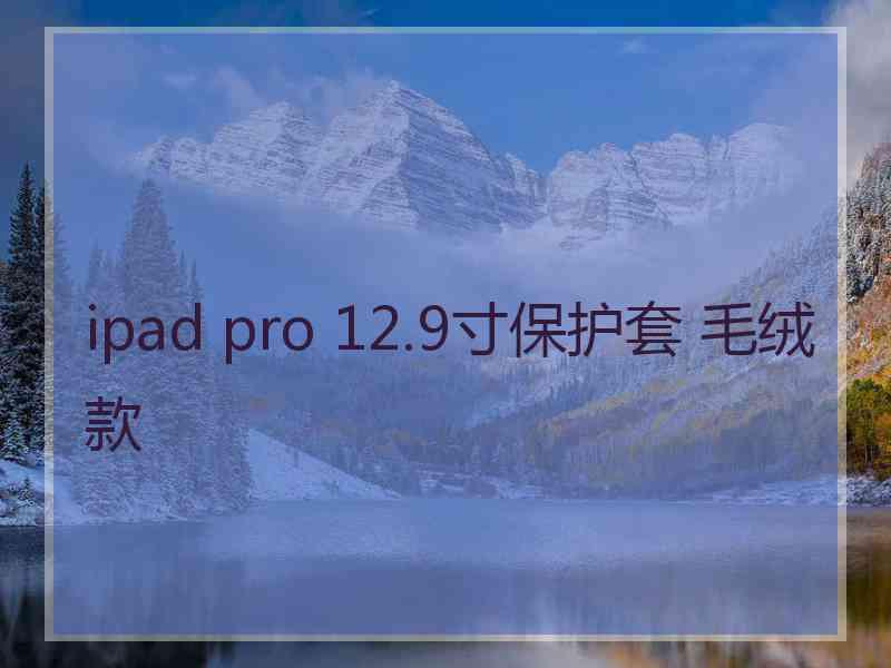 ipad pro 12.9寸保护套 毛绒款