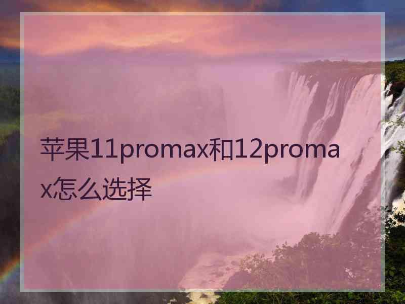 苹果11promax和12promax怎么选择