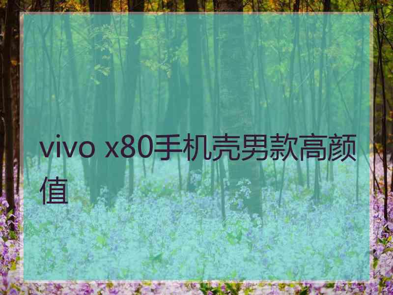 vivo x80手机壳男款高颜值