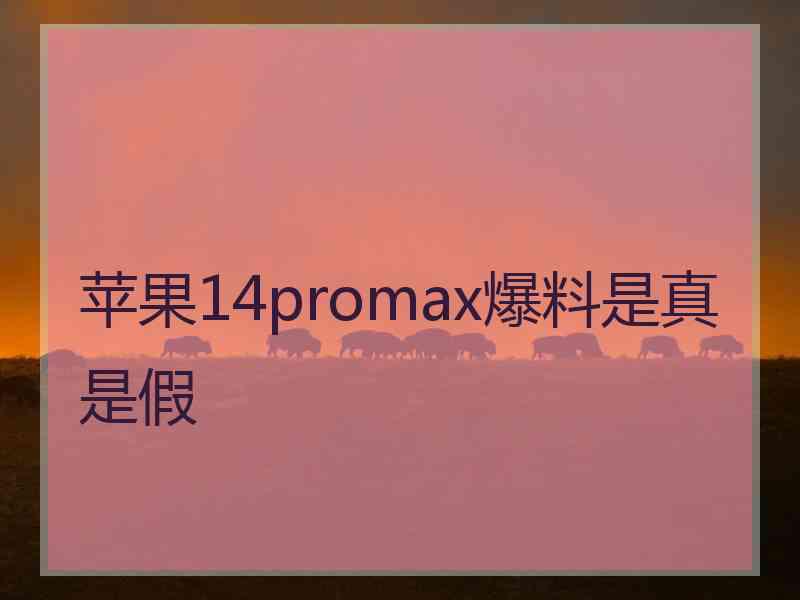 苹果14promax爆料是真是假