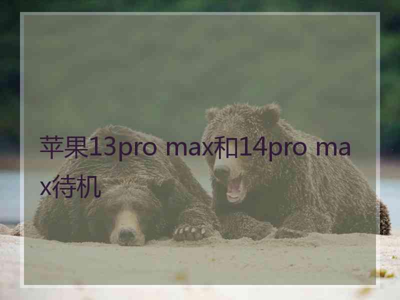 苹果13pro max和14pro max待机