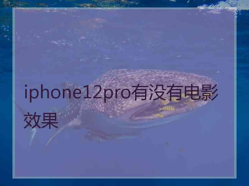 iphone12pro有没有电影效果