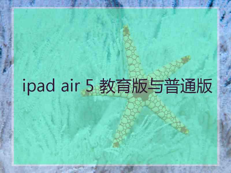 ipad air 5 教育版与普通版