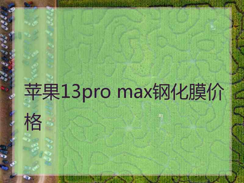 苹果13pro max钢化膜价格