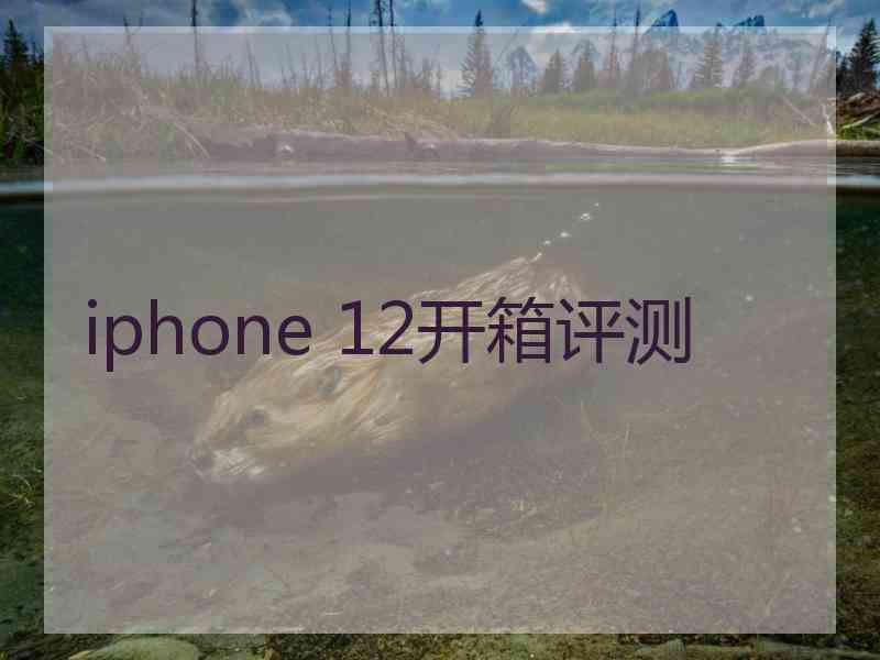 iphone 12开箱评测