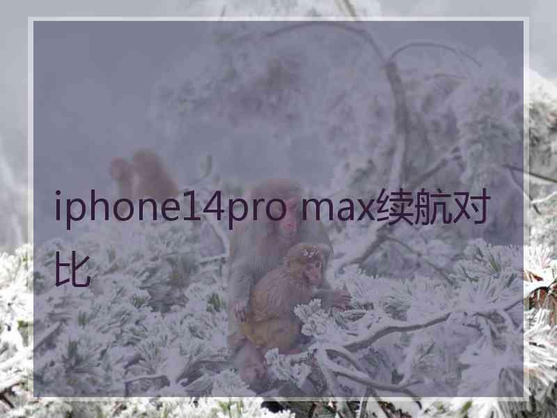 iphone14pro max续航对比