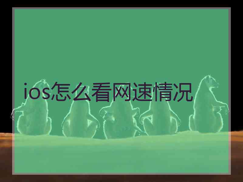 ios怎么看网速情况