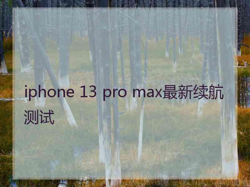 iphone 13 pro max最新续航测试