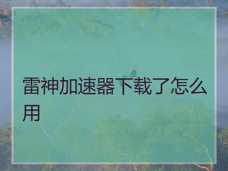 雷神加速器下载了怎么用