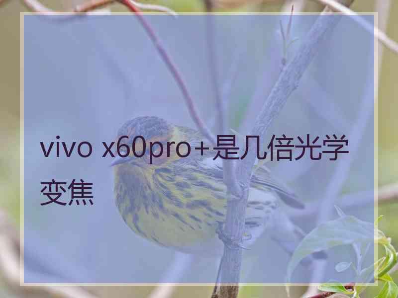 vivo x60pro+是几倍光学变焦