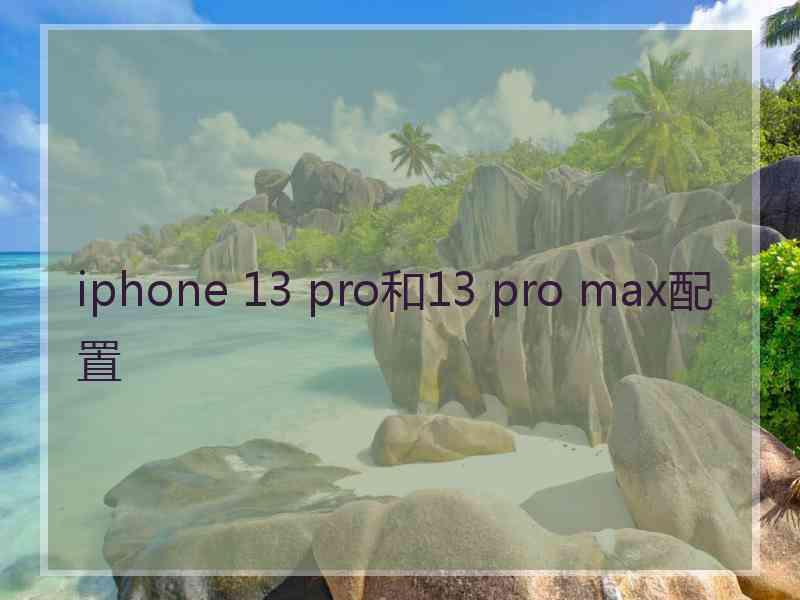 iphone 13 pro和13 pro max配置