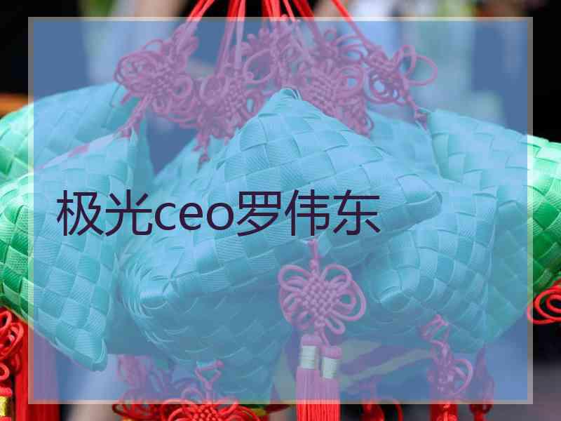 极光ceo罗伟东