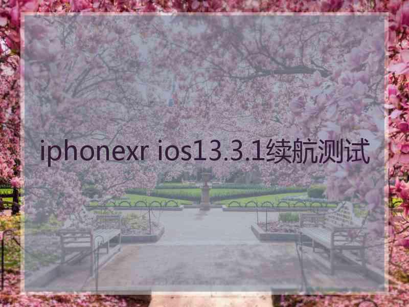 iphonexr ios13.3.1续航测试