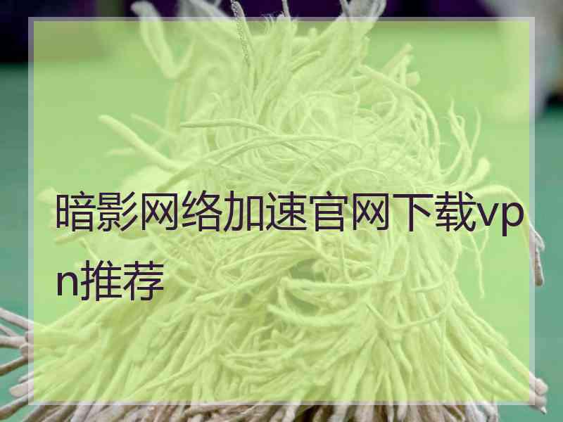 暗影网络加速官网下载vpn推荐